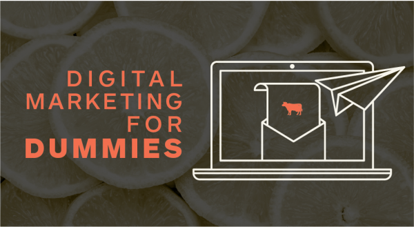 image for: Digital Marketing for Dummies