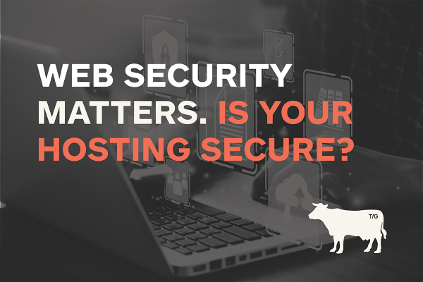 image for: The Importance of Reliable Web Hosting