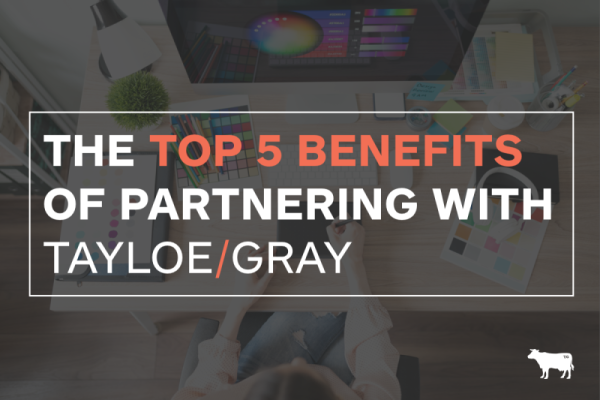 image for: Top 5 Benefits of Partnering with Tayloe/Gray